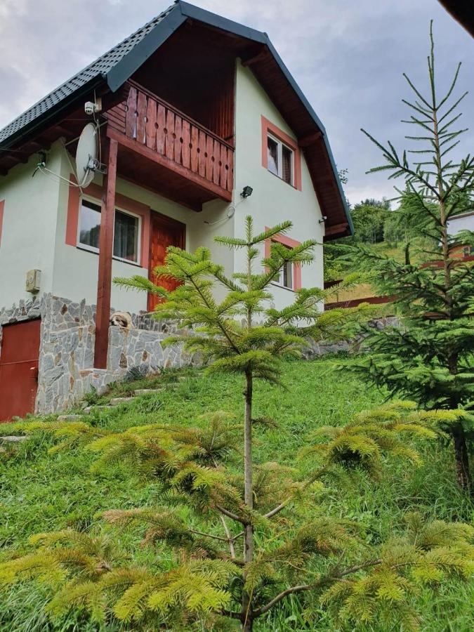 Casa Dor De Ea Dîmbovicioara Exterior foto
